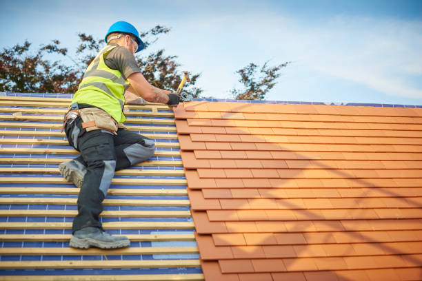 Best Sheet Metal Roofing  in Oakland, IA